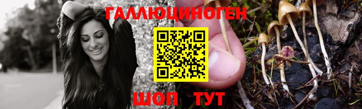 магазин продажи наркотиков  Галлюциногенные грибы прущие грибы  Вход с VPN  Новодвинск 